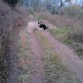 haciendo trail running, la mejor compañera