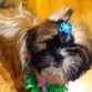 Nora en su primer Fin de año (2012-2013)