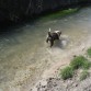 7 MESES  en el agua