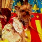 esta es daisy,la peque de la casa,probandose su traje nuevo,ya que estas fallas seran las primeras de su vida.