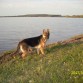 De paseo por el Parque del Lago.-