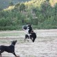 Es una máquina parando el balón en el aire con las patas