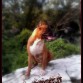 Jr. rocky corriendo en el cerro