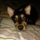 MI MURIEL HERMOSA