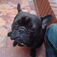 jaja q cara de dormido