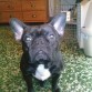 mi gorditooo