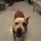 Que bonachon ^^