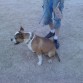 Paseoo