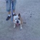 Paseoo