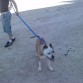 Paseoo