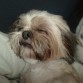dormida... jajajaja