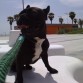 en la playaa