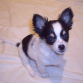 Pepe con unos 3 meses.