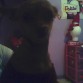Mi perro:)