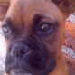 aqui tenia unos 4 meses.