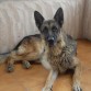 mojadito =)