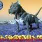 Jason hijo de Hummer y Scarface y en sus ancestros figuran nombres como Omen y PlayBoy.
WWW.SANGREBULLY.COM