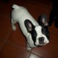 Lola 5 meses