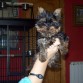 Mi pequeño bichito