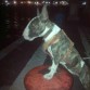 Viendo el mar bajo la luz de la luna en el Malecon de Veracruz.