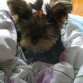 Ella es mi hijita Constanza... es el amor de mi vida! 