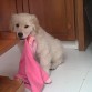 3 Meses de hanna jugando con su ropa !