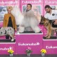 CAMPEONA DE ESPAÑA, PORTUGAL, GIBRALTAR Y LUXEMBURGO,
MEJOR BOBTAIL 2010 
