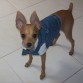 MIREN COMO HA CRECIDO MI BELLO JACOB