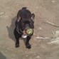 mi xico jugando en la playa