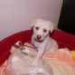 loola en su cama