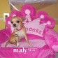 MI PRINCESA
