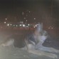 y solo tiene 4 meses en esa foto jejejejeje