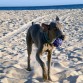 Zahara de los Atunes...días de playeo