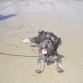 primer dia de playa