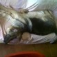 4 meses y tres semanas... ¡Y SIGUE CON SU SIESTA!