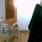 Desde los 13 añitos con el. Fiel amigo y compañero. Siempre te recordare.