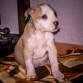 Cora con 2 meses