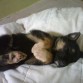 Durmiendo!!
