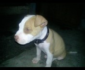 Mi bb LUcky