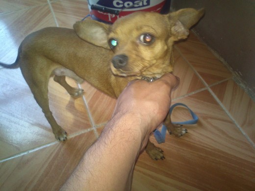 no se deja tomar foto