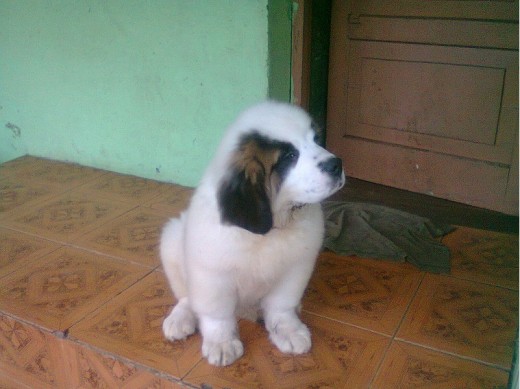 esta es mi bebe se llama DANNA
