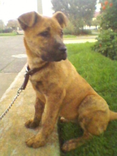 fanny de 3 meses