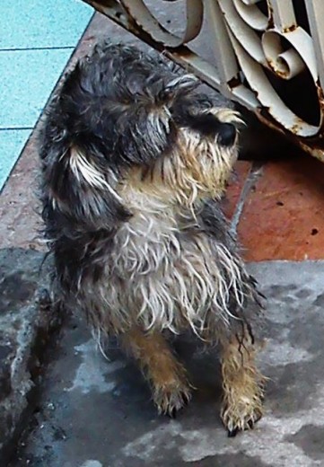 MI NIÑA ESPECIAL RECIEN BAÑADA... AL NATURAL