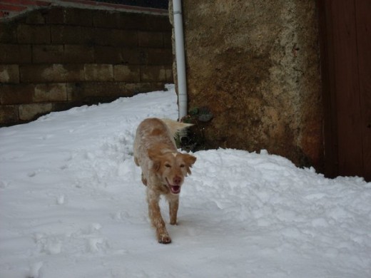 Ira corriendo por la nieve, su afición.