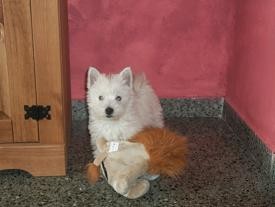 Ya con su primer peluche. Si es mas grande que ella!