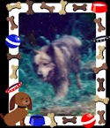 i never forget you. my best friend :( R.I.P