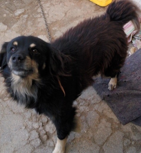 tobi posando para la foto