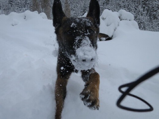 La Betty en la nieve 