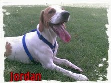 Jordan despues de jugar un poco 