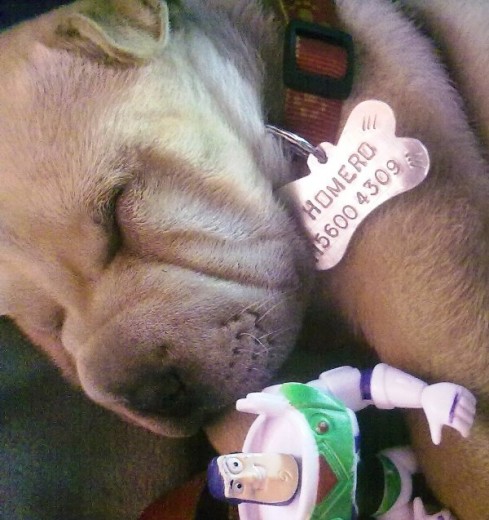 HOMERO